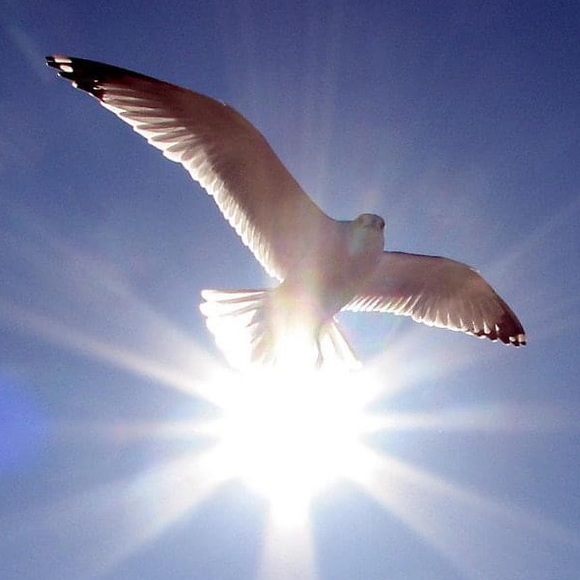 Men’s Wear & Accessories - Picture 3 of 11